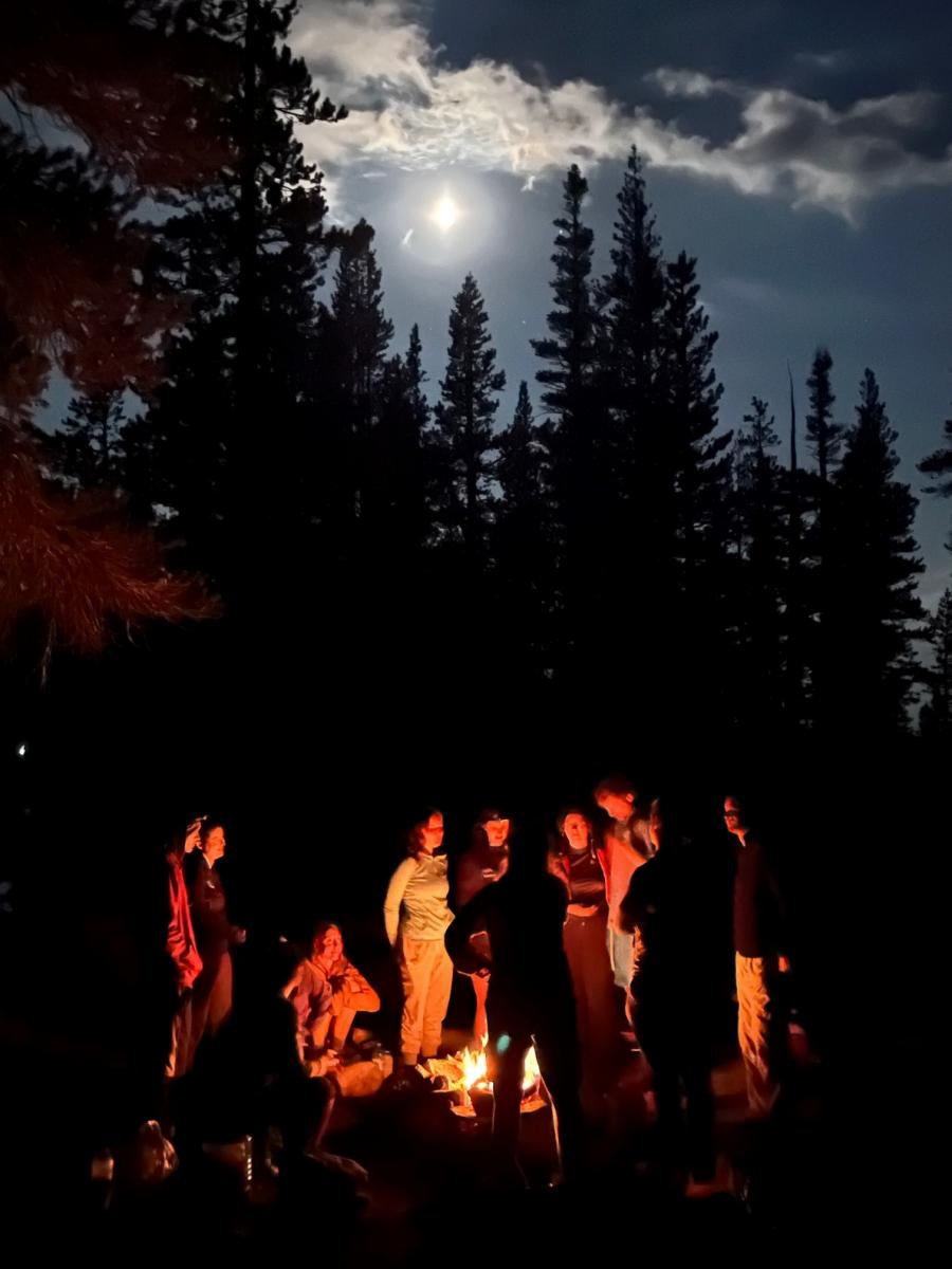a group of people gathered around a campfire under the night sky